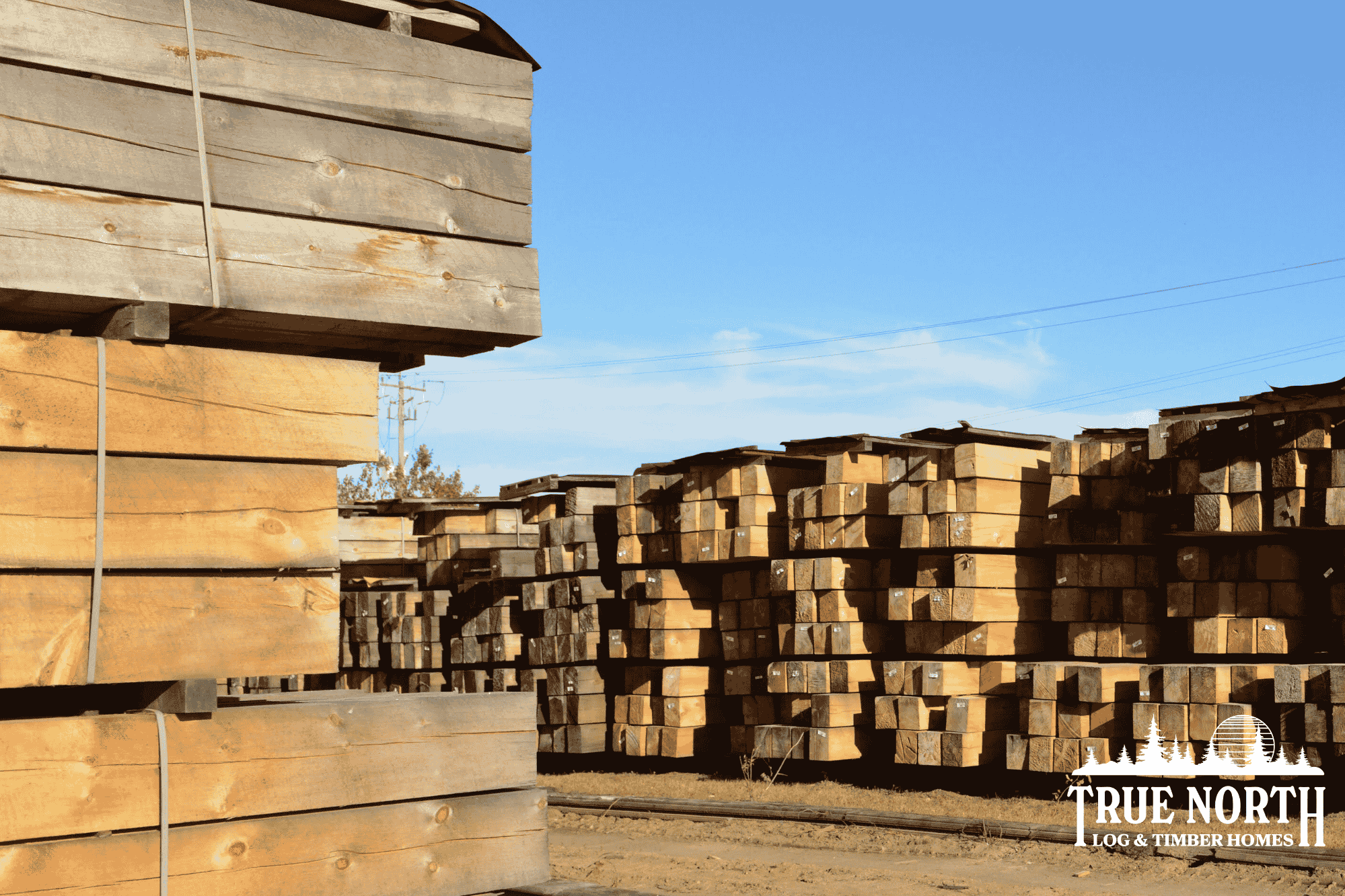 The lumber yard at True North Log & Timber Homes, where logs are air-dried for up to 2 years.