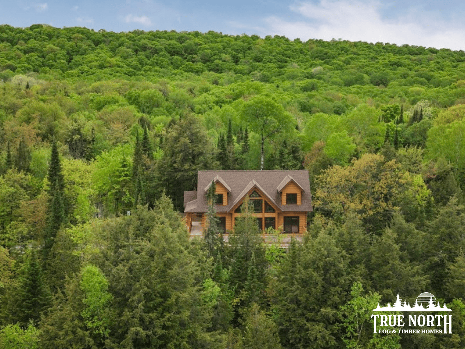 A log home nestled in the fresh, spring forest.