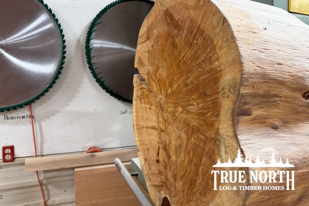 From Forest to Finished Home: How We Build a True North Log & Timber Home